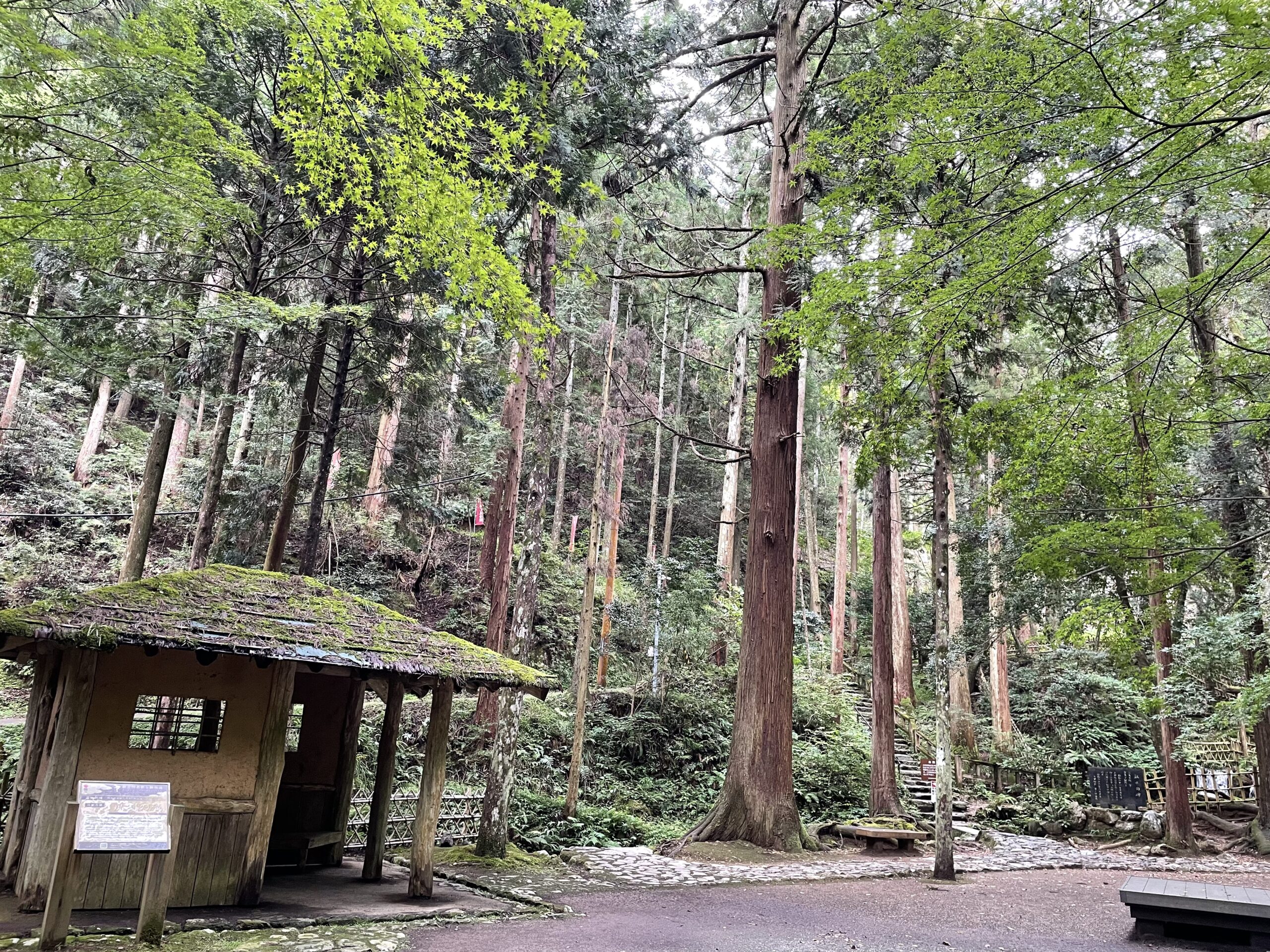 瓜割の滝（若狭）