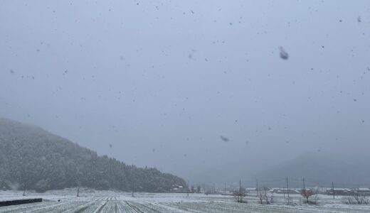 若狭にしっかり雪が降った朝